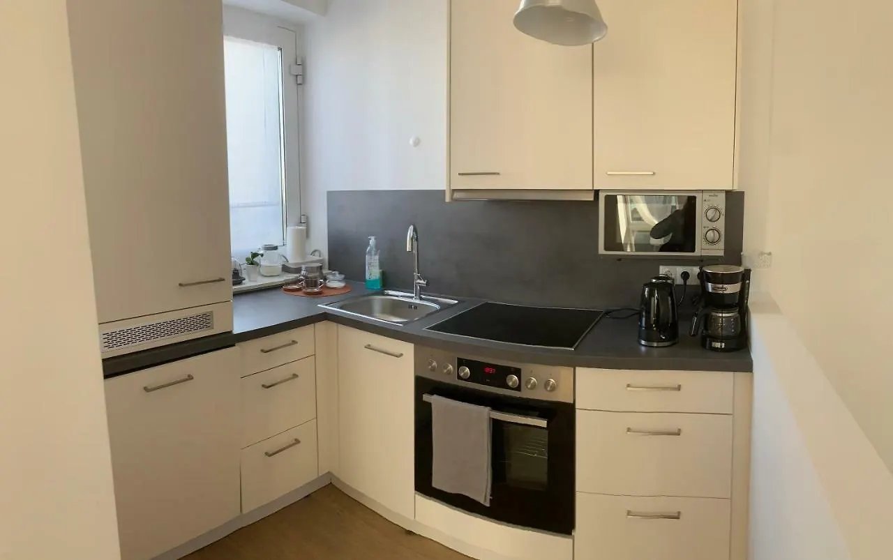 Double Floor Apartment Vienna