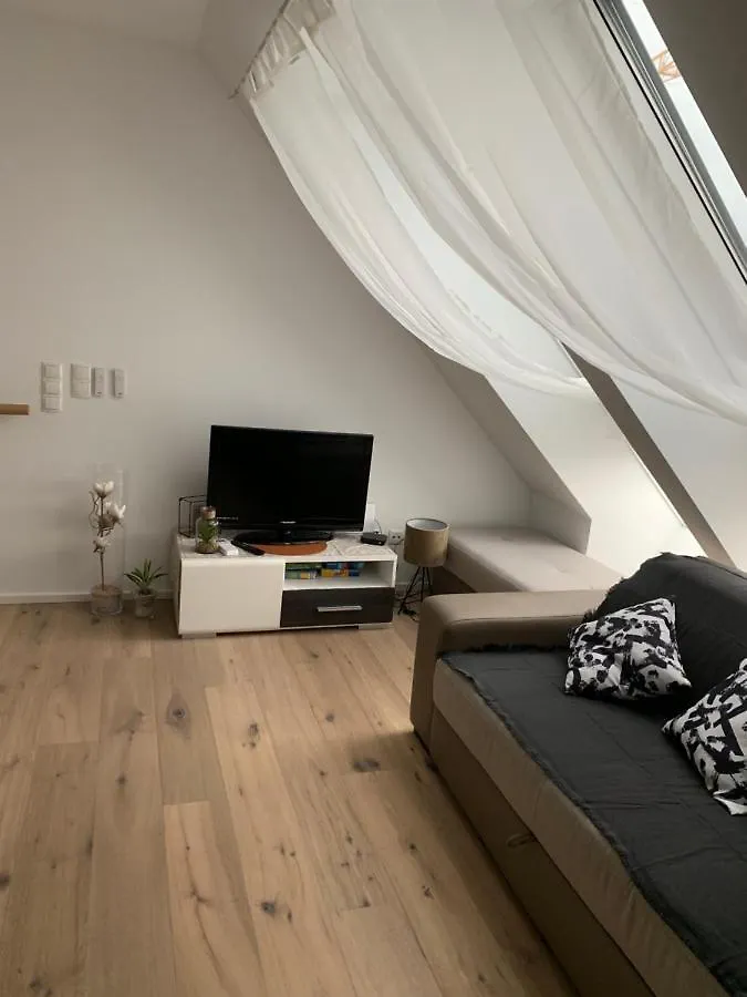 Double Floor Apartment Vienna
